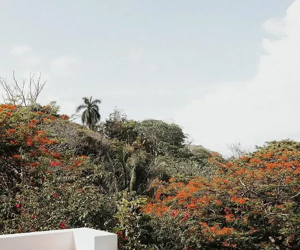 Hotel Salvatierra Beachfront *